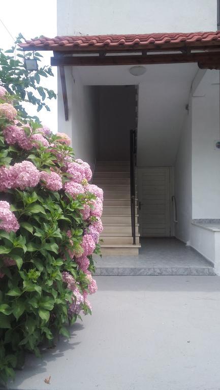 Georgoulas Apartments Paralía Skotínis Eksteriør billede